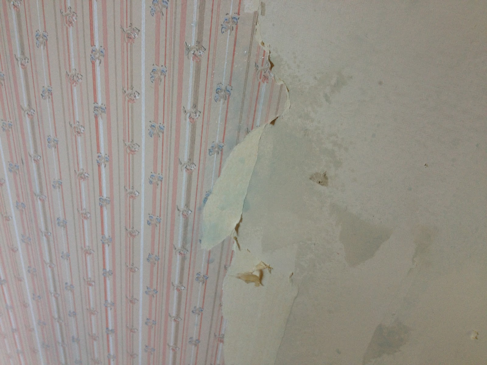 Free download Wallpaper Steamer Reviews Using Wallpaper Steamer Rent