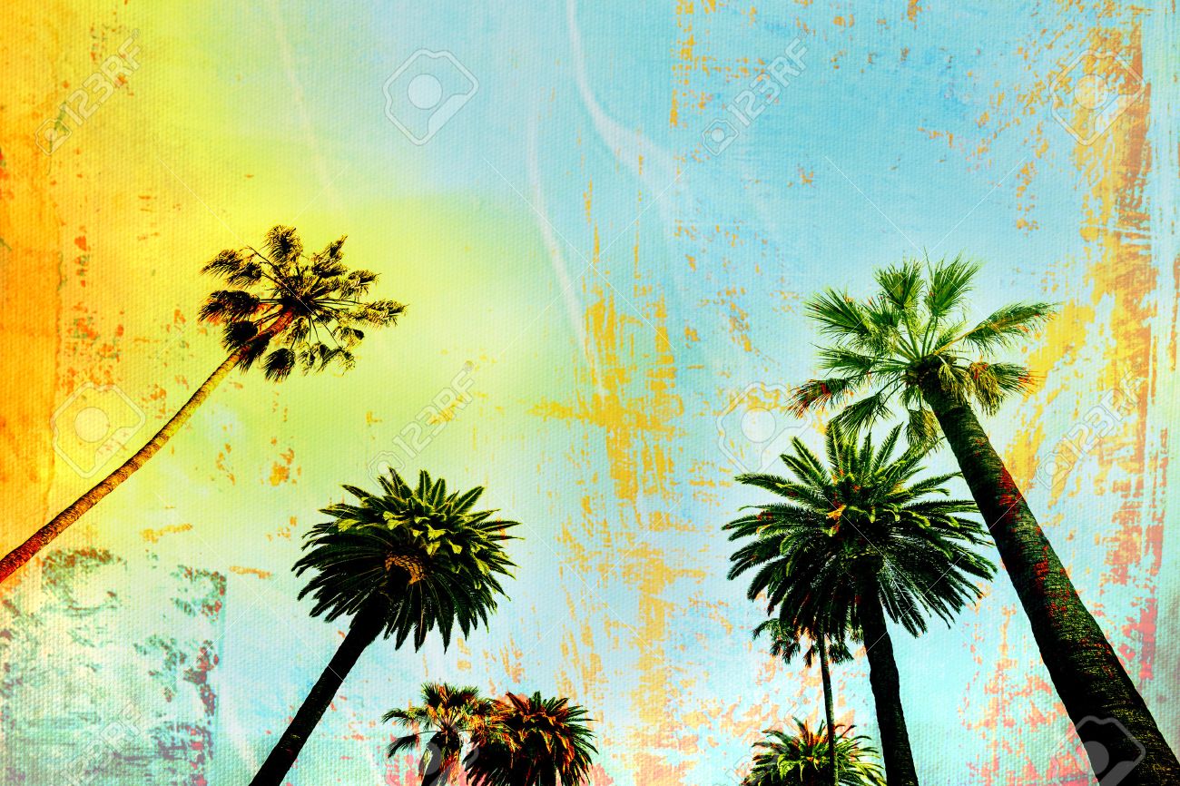 California Surf Palm Tree Background Stock Photo Picture And 1300x866