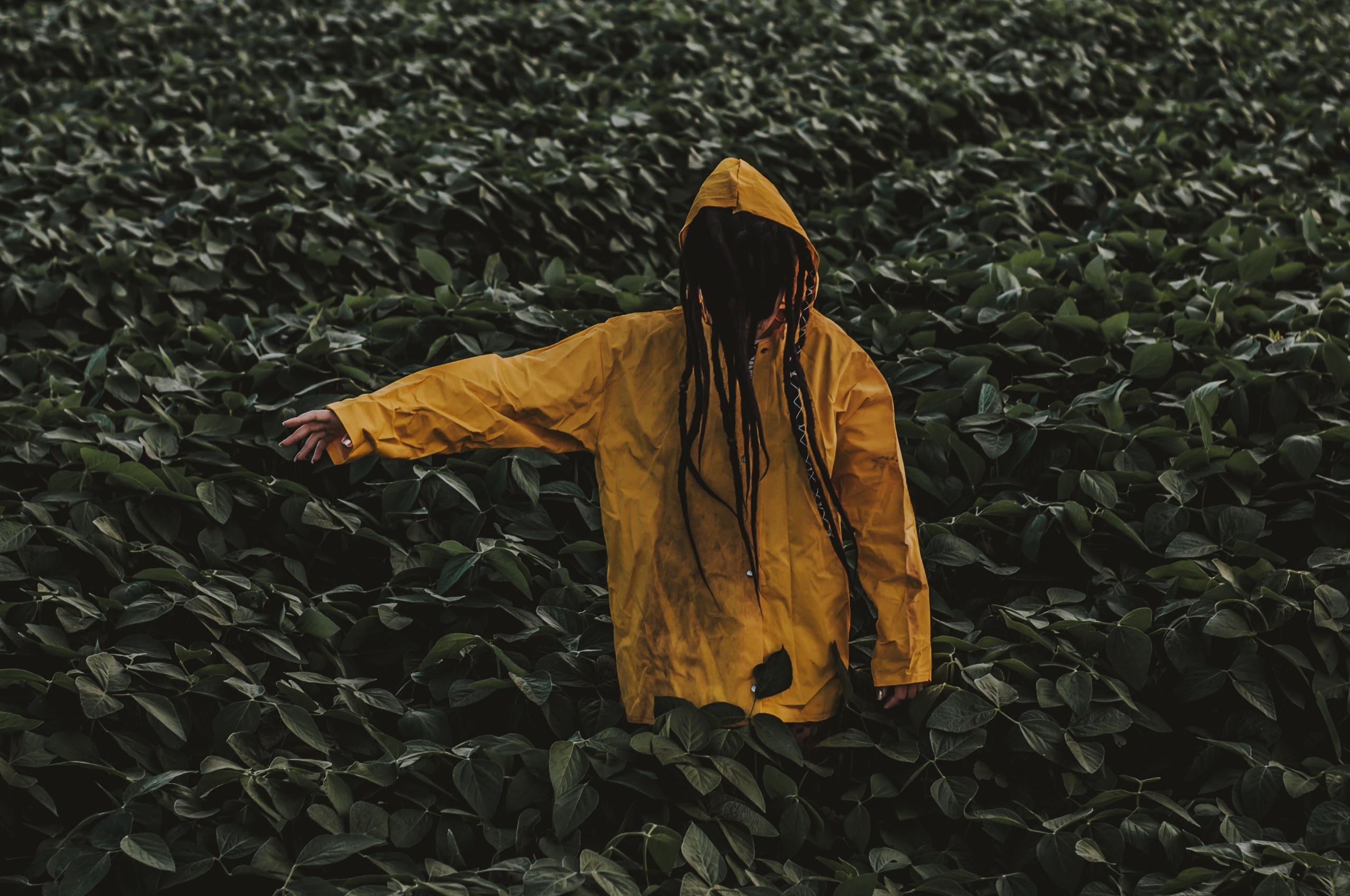Hoodie Leaves Raincoat Green Wallpaper For