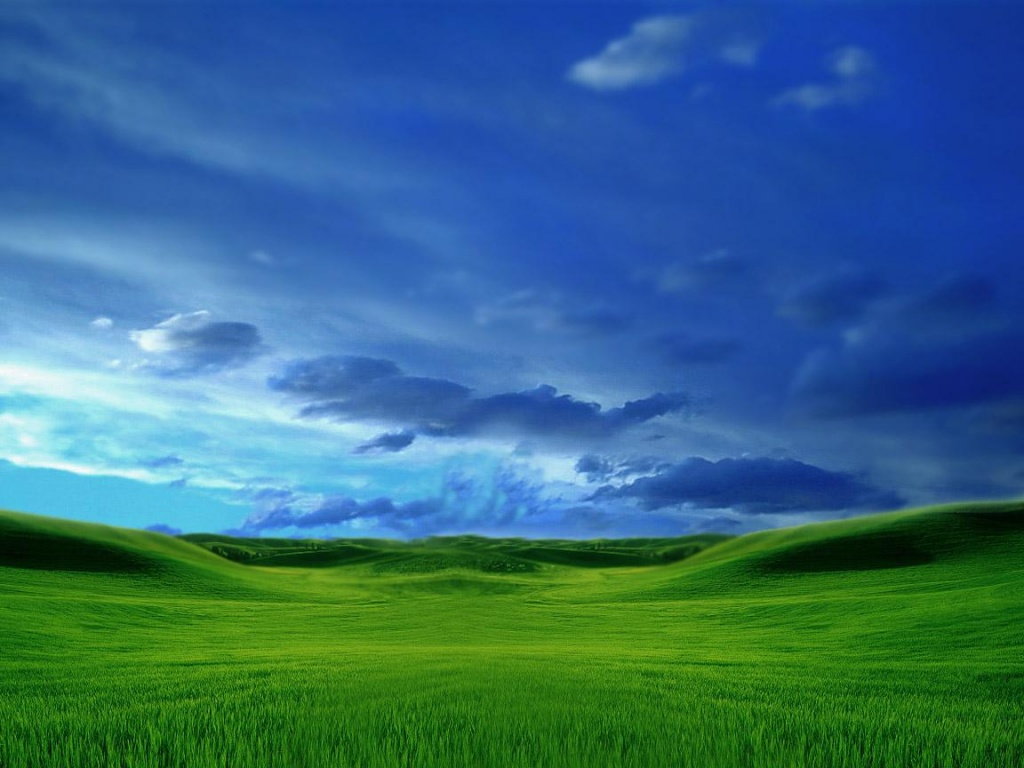 Green Grass Blue Sky Wallpaper Desktop Background