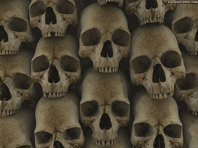 Visual Paradox 3d Wallpaper Skull Wall Multiple Sizes