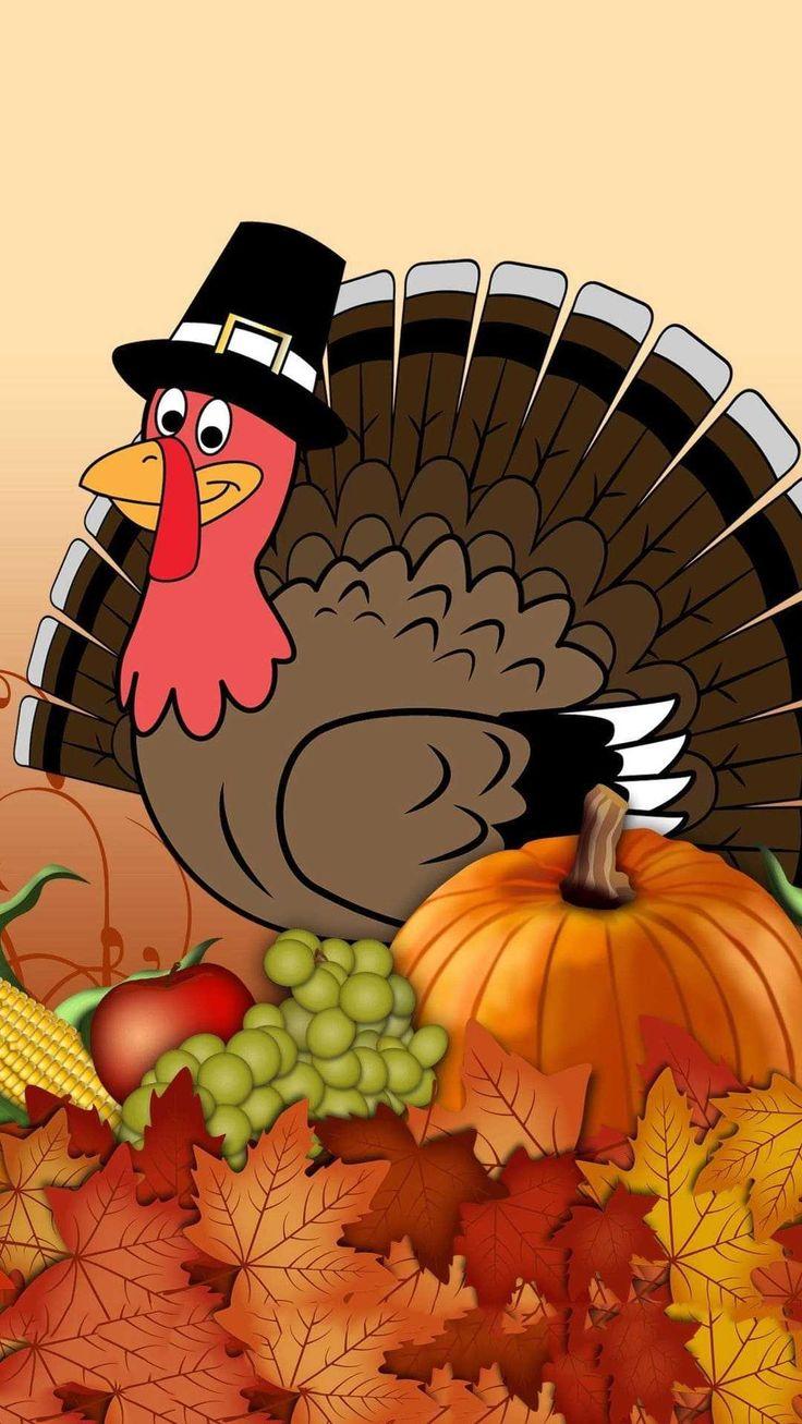 Turkey Thanksgiving Wallpaper Ixpap