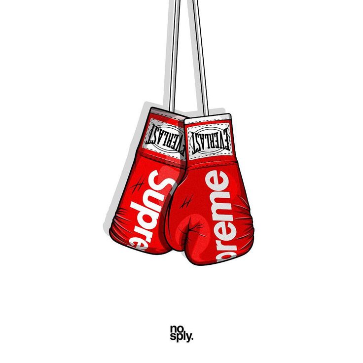 Supreme X Everlast Boxing Gloves Fall Winter Nosply