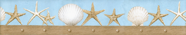 Starfish Shell Wallpaper Border