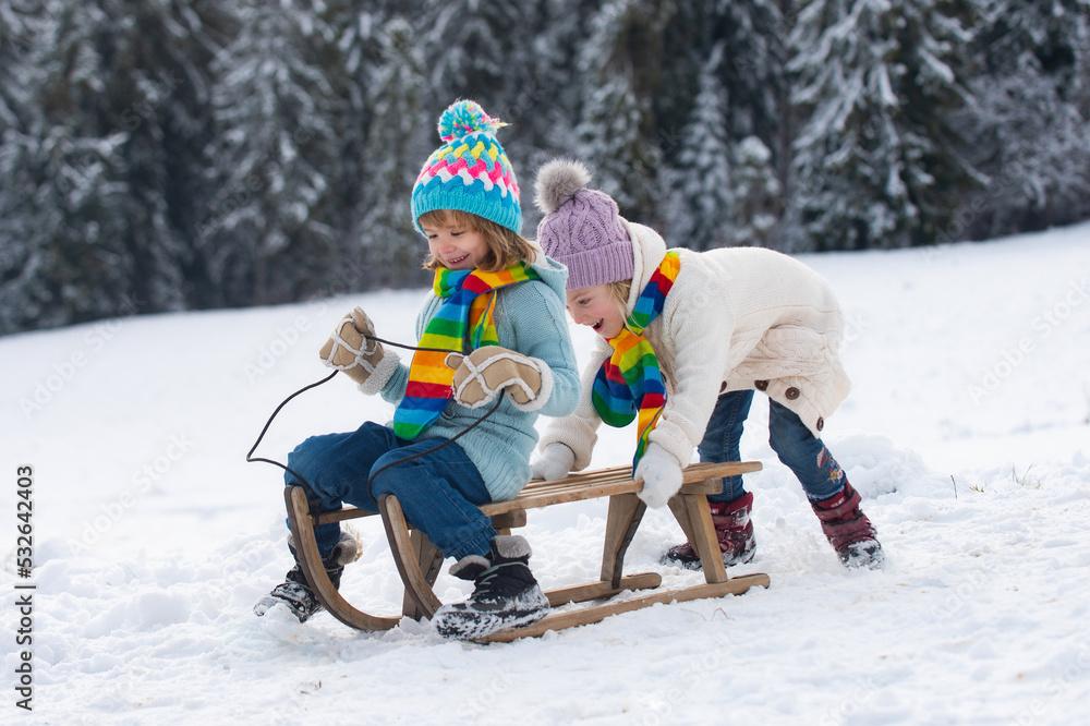 Children Sledding Riding A Sledge Son And Daughter Play