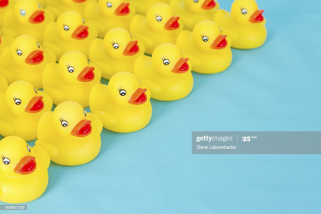 🔥 Free Download Many Rows Of Yellow Rubber Ducks On Light Blue ...