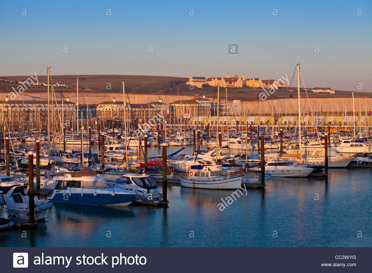 Uk England Sussex Brighton Marina In The Background