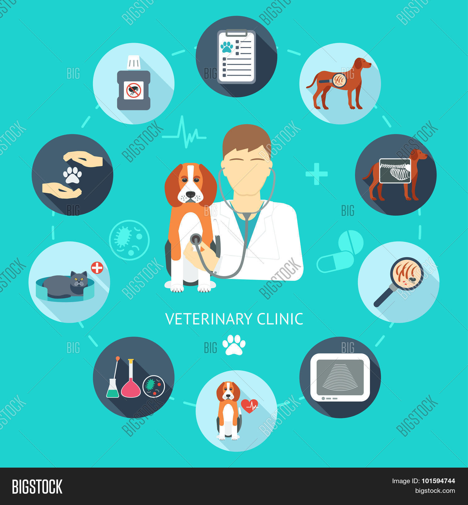 Veterinary Flat Icon Vector Photo Trial Bigstock