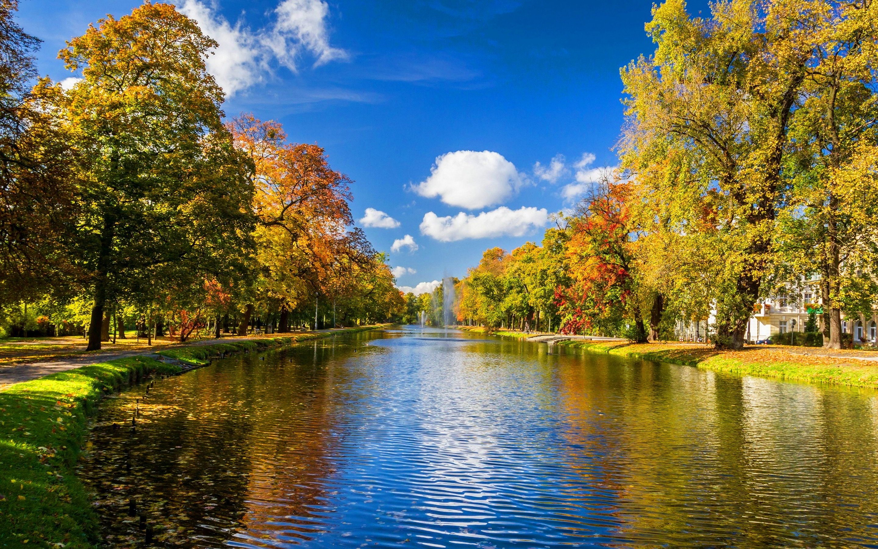 Autumn River HD Wallpaper