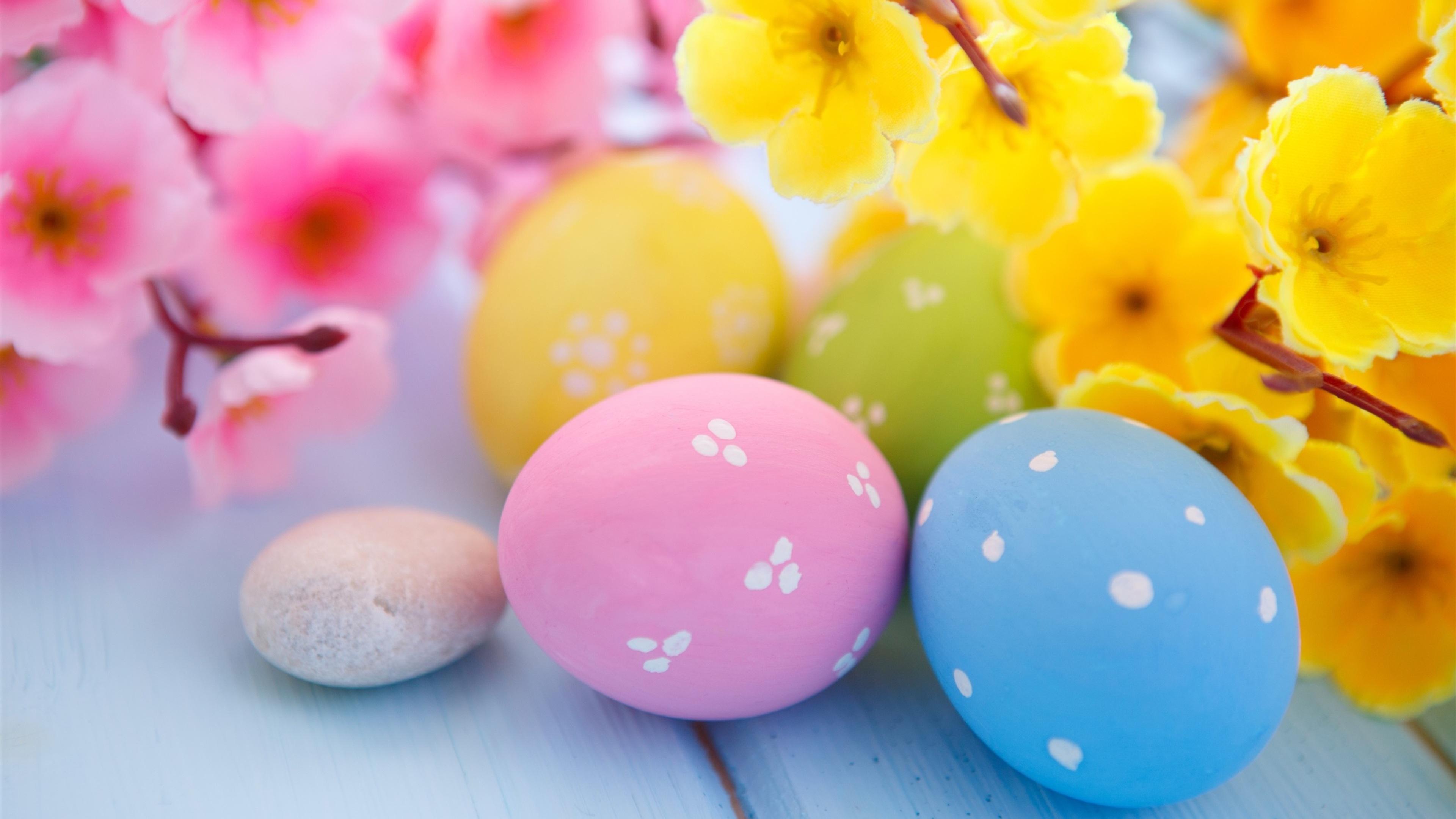 Easter Eggs And Spring Blossoms 4k HD Wallpaper