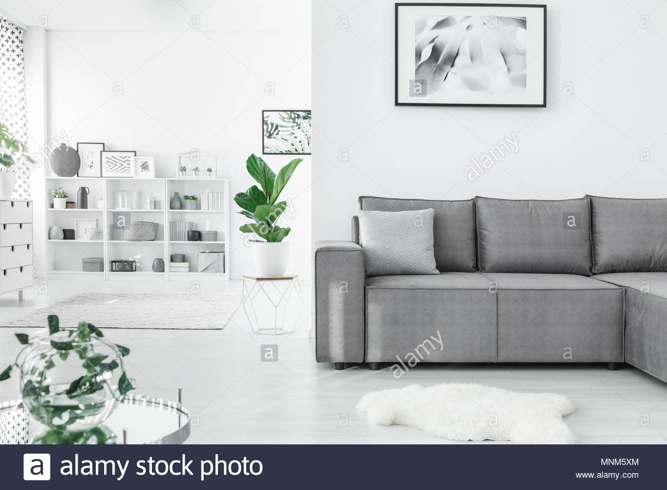 Open Space Living Room Interior With A Grey Corner Sofa Plants