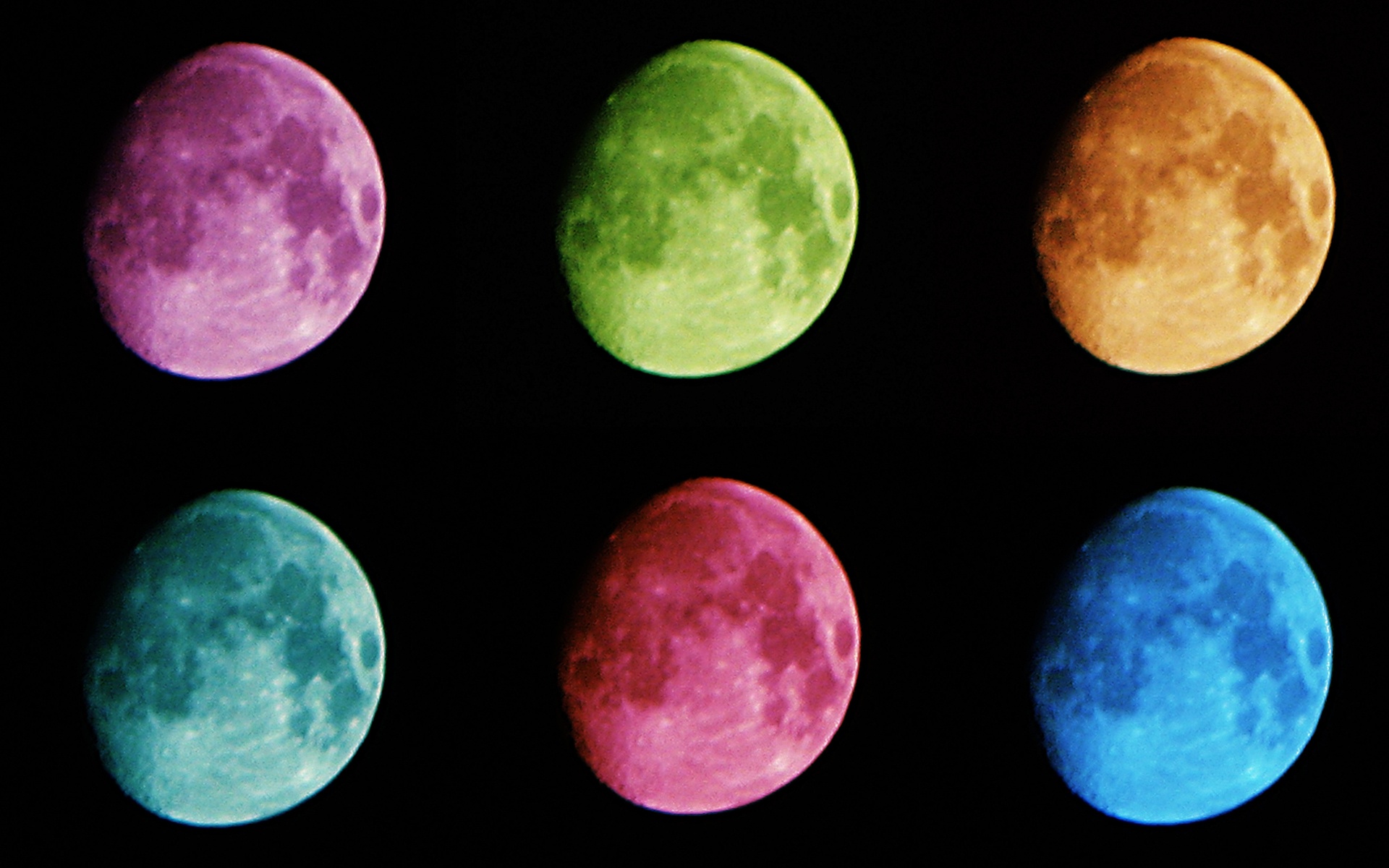Warhol Moon Wallpaper