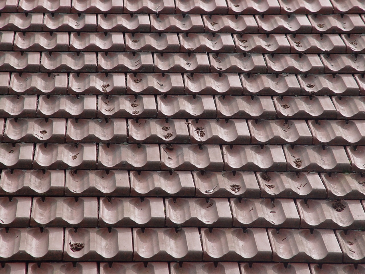Tiled Roof Tile Wallpaper Roofing Cladding Photo
