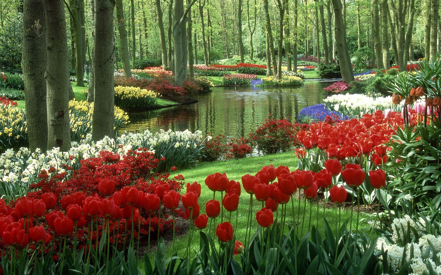 Spring Flowers Wallpaper Android Apps On Google Play