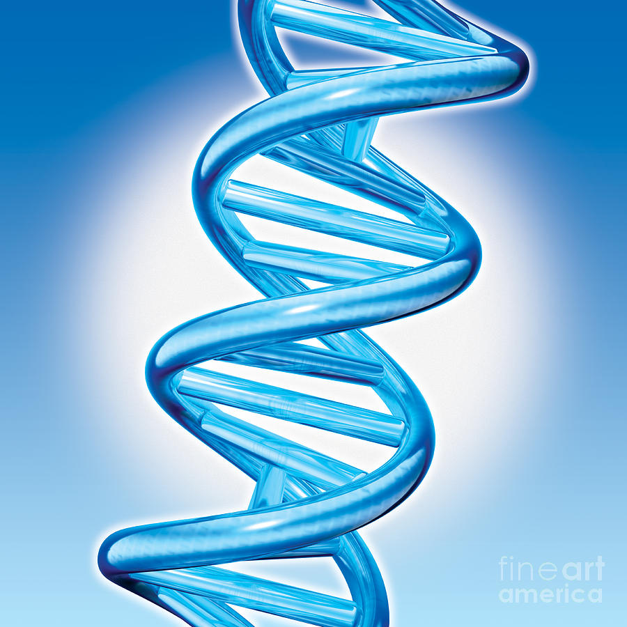 DNA Double Helix Wallpaper - WallpaperSafari