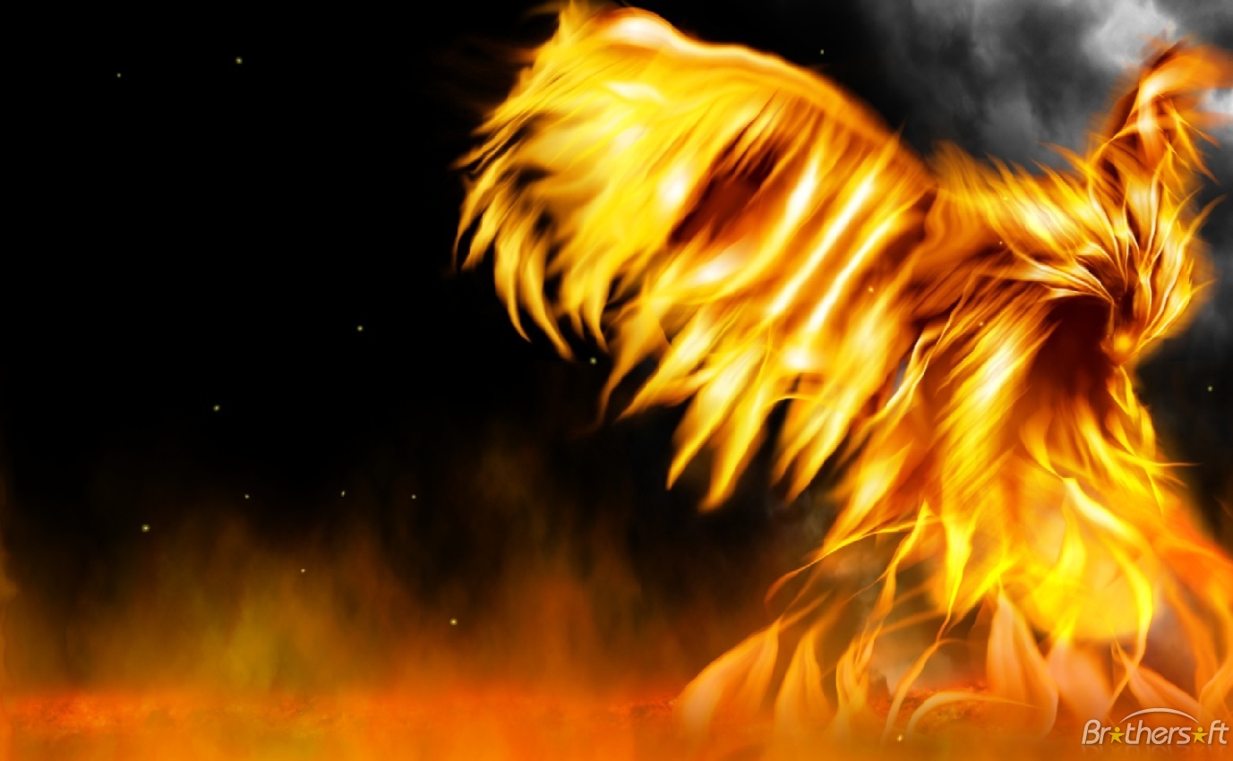 Fire Everywhere Animated Wallpaper