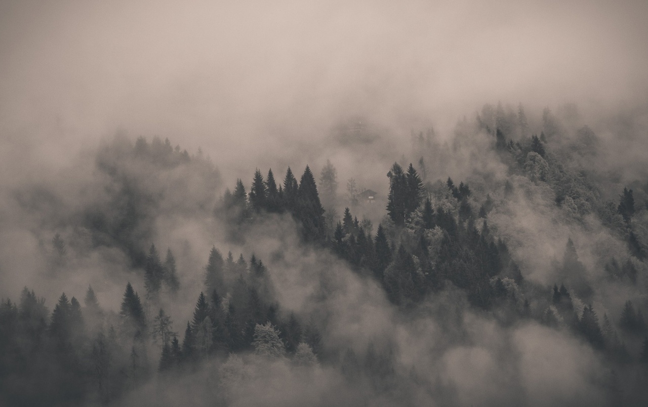 Misty Mountain Landscape Wallpaper Stock