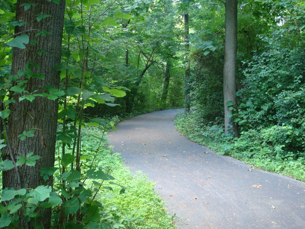 St Charles Il Walking Path In Delnor Woods Park