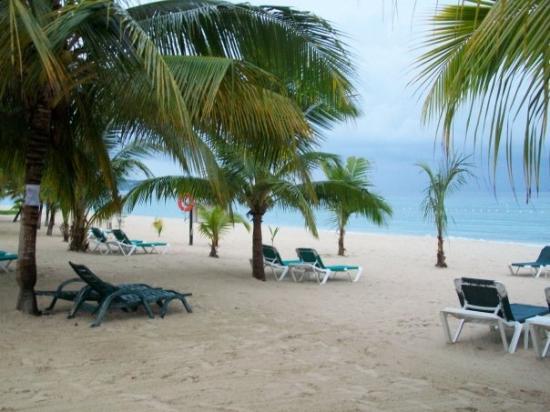 Negril Photo Mile Beach Jamaica Bloody Bay In The