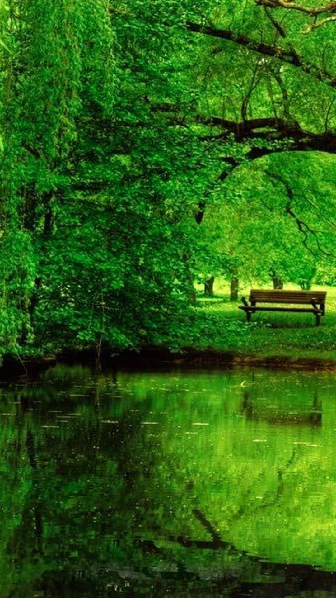 Green nature, green, nature, HD phone wallpaper | Peakpx