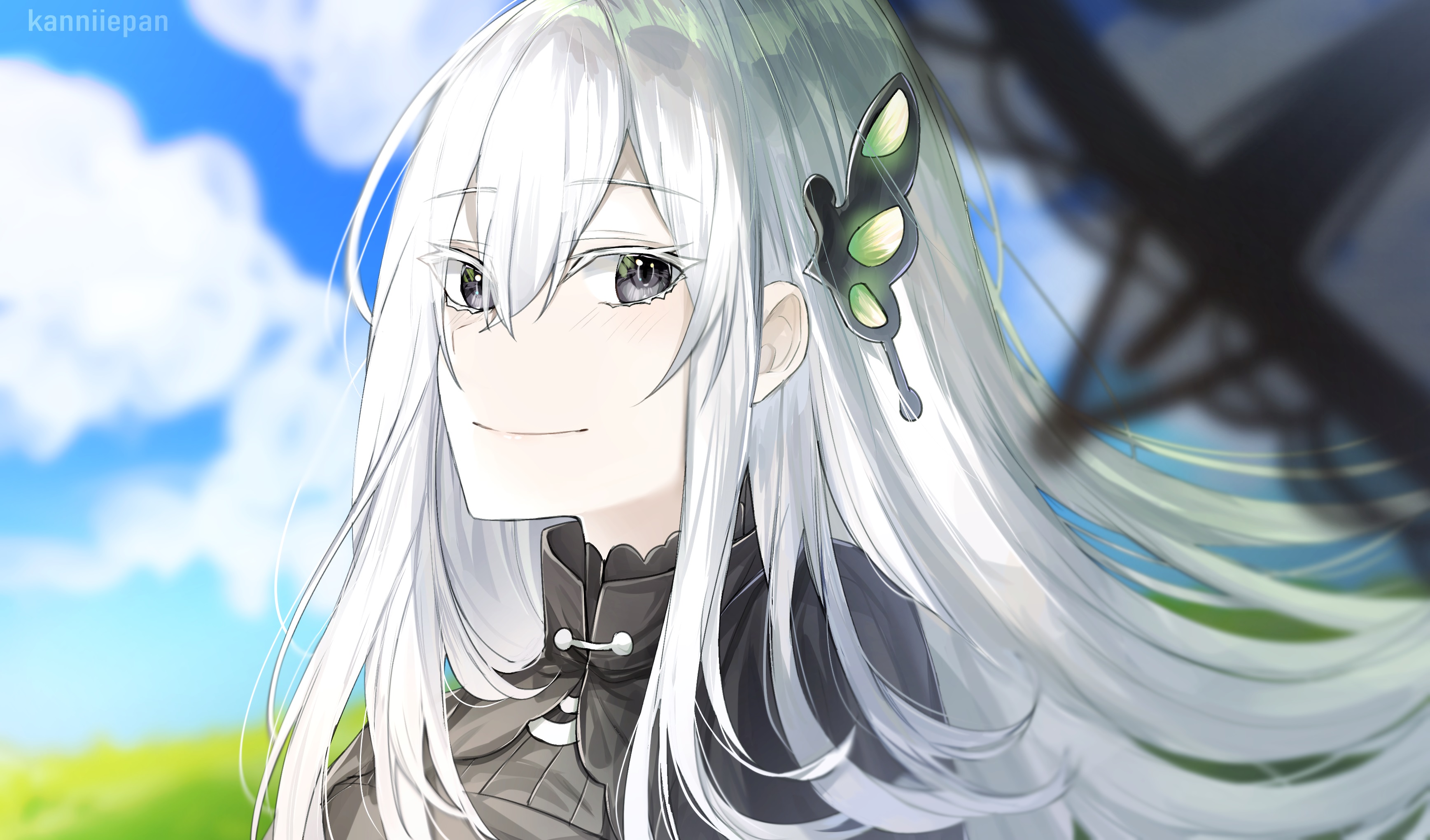 Echidna Anime Re Wallpaper