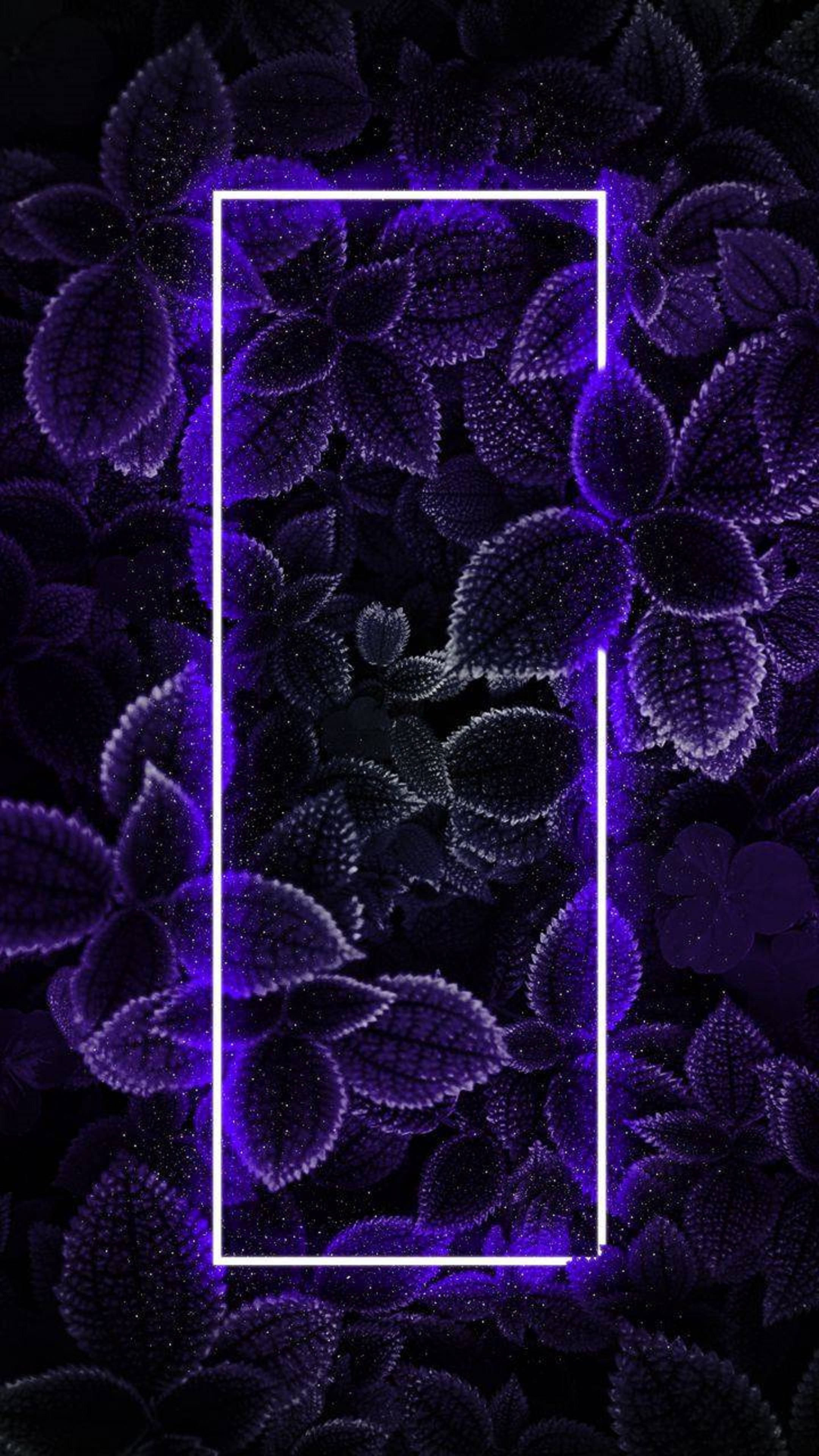 En 4k Neon iPhone Laub Wallpaper