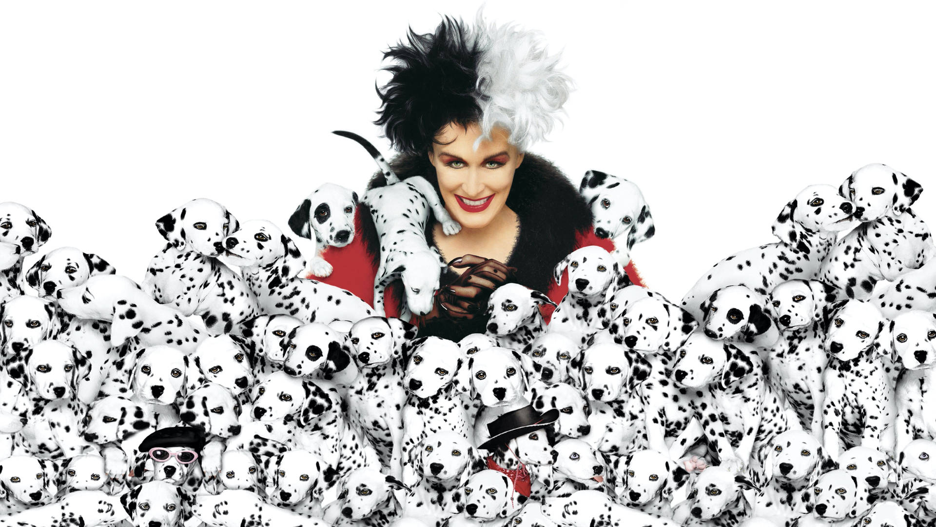 Dalmatians Vapti6k357pody7q Wallpaper