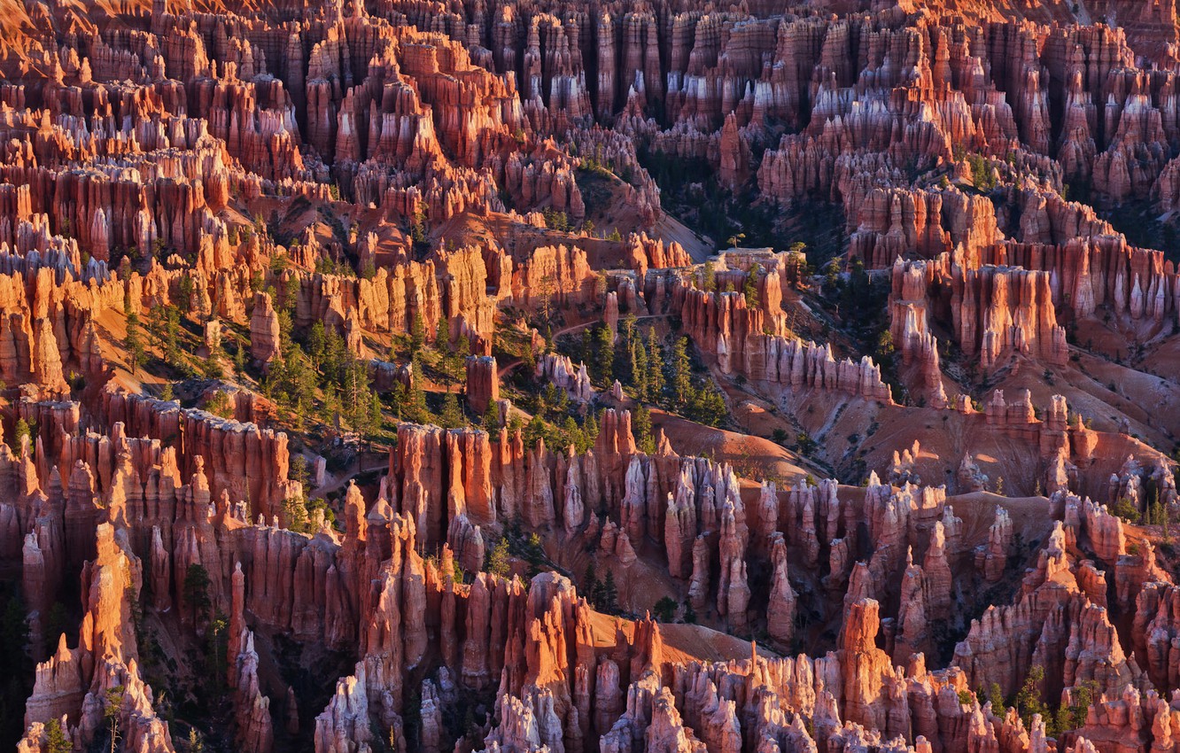 Wallpaper Trees Mountains Rocks Utah Usa Bryce Canyon