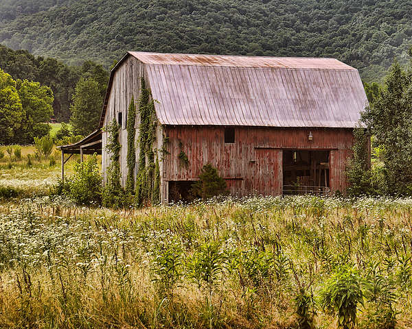Rustic Country Barn Print By Tnbackroads Photography