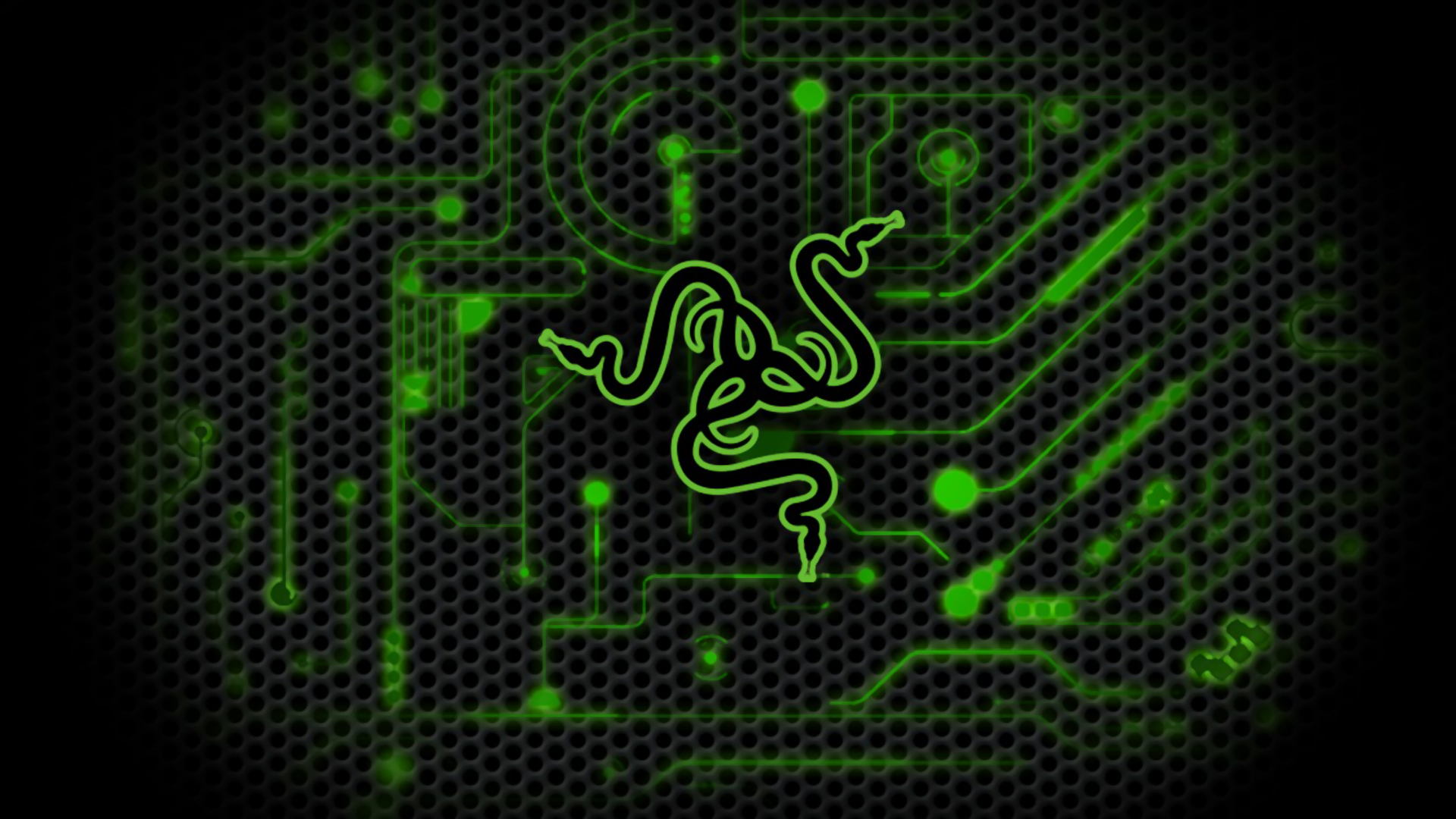 Razer Wallpaper Green Circuit Logo Hd