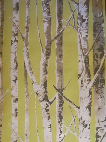 Birch Trees   Modern Wallpaper by the metre   Wallpaper