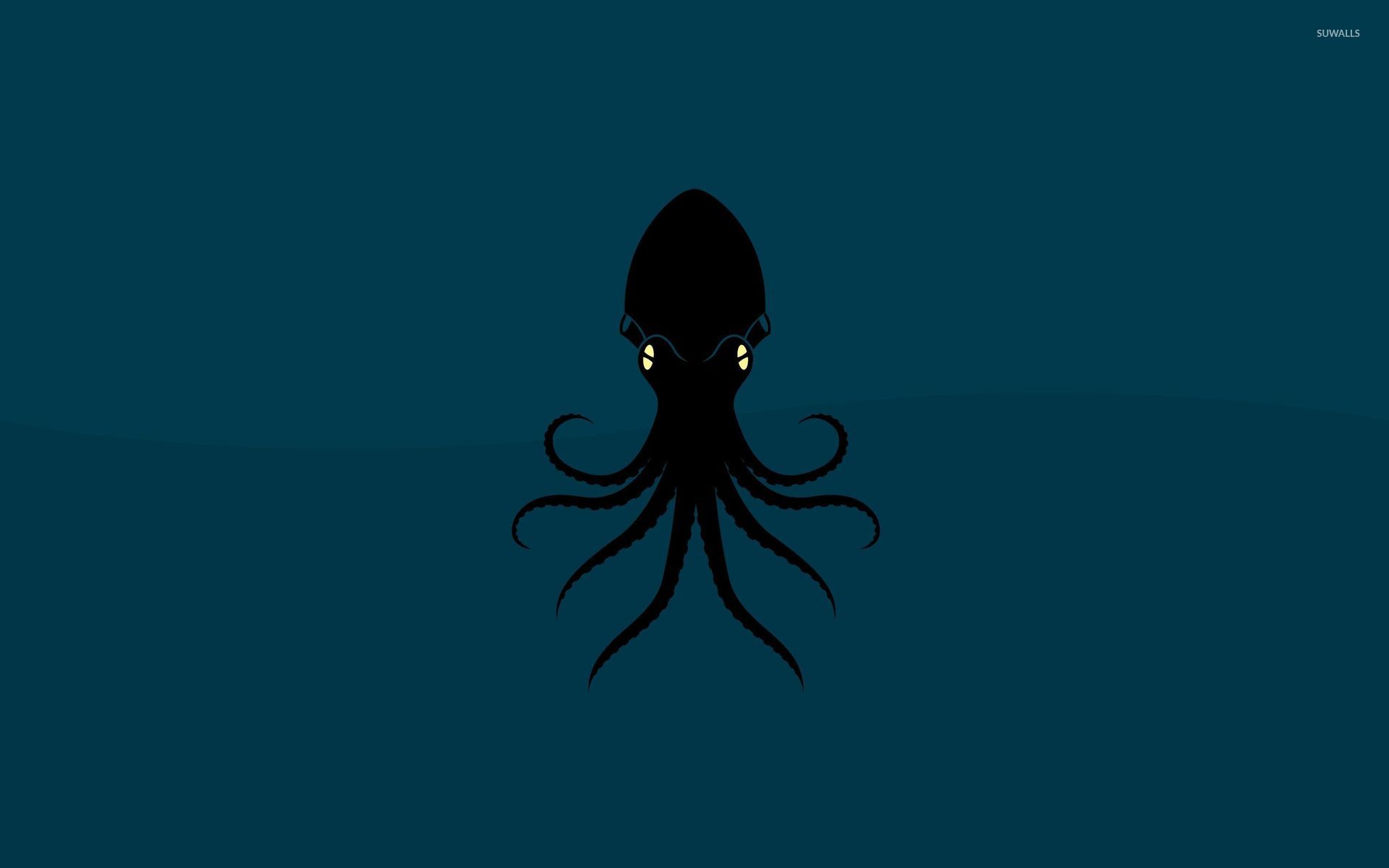 SQUID WALLPAPERS FREE Wallpapers Background images   hippowallpapers