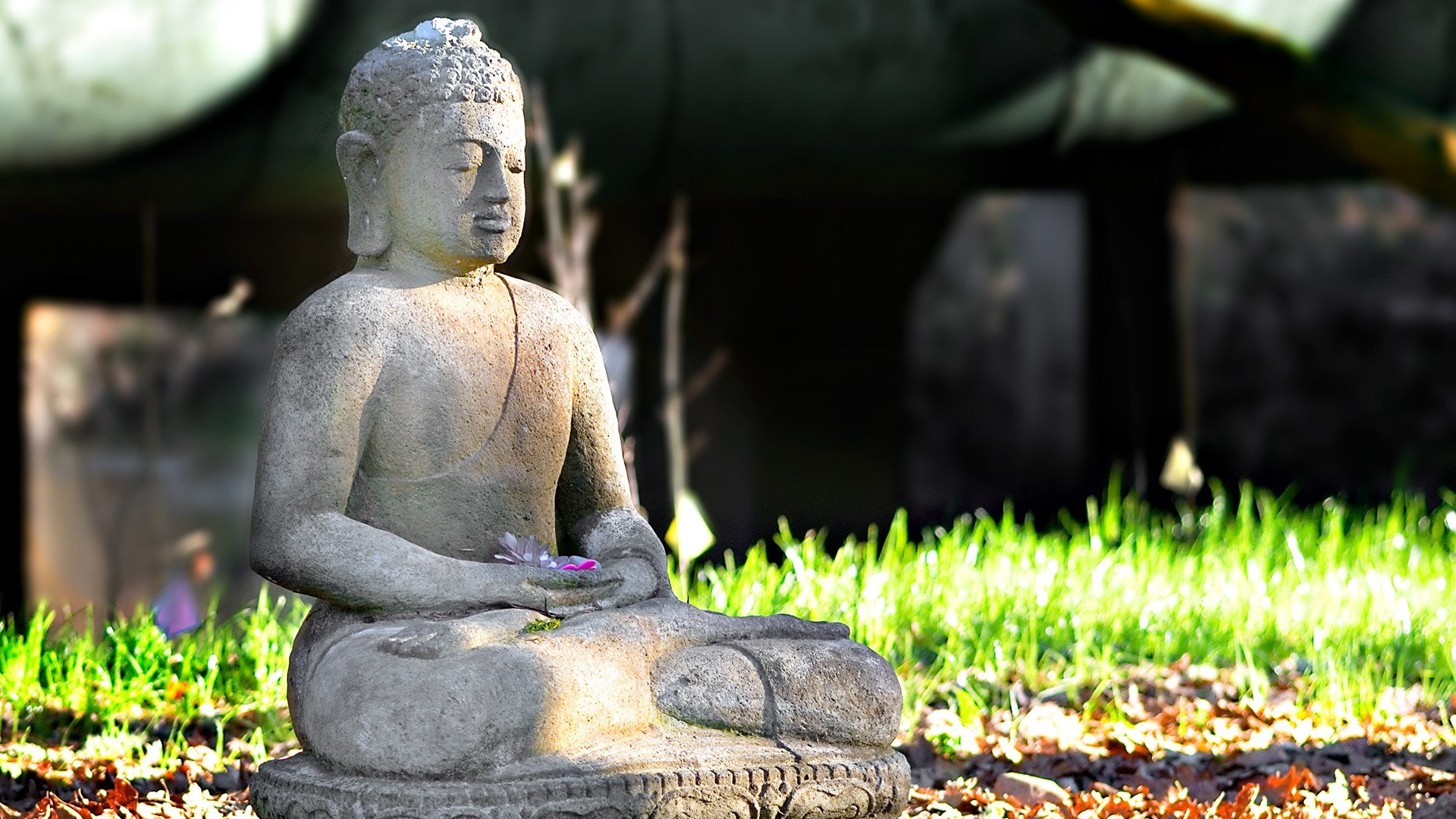 Serene Buddha Statue in a Garden Setting