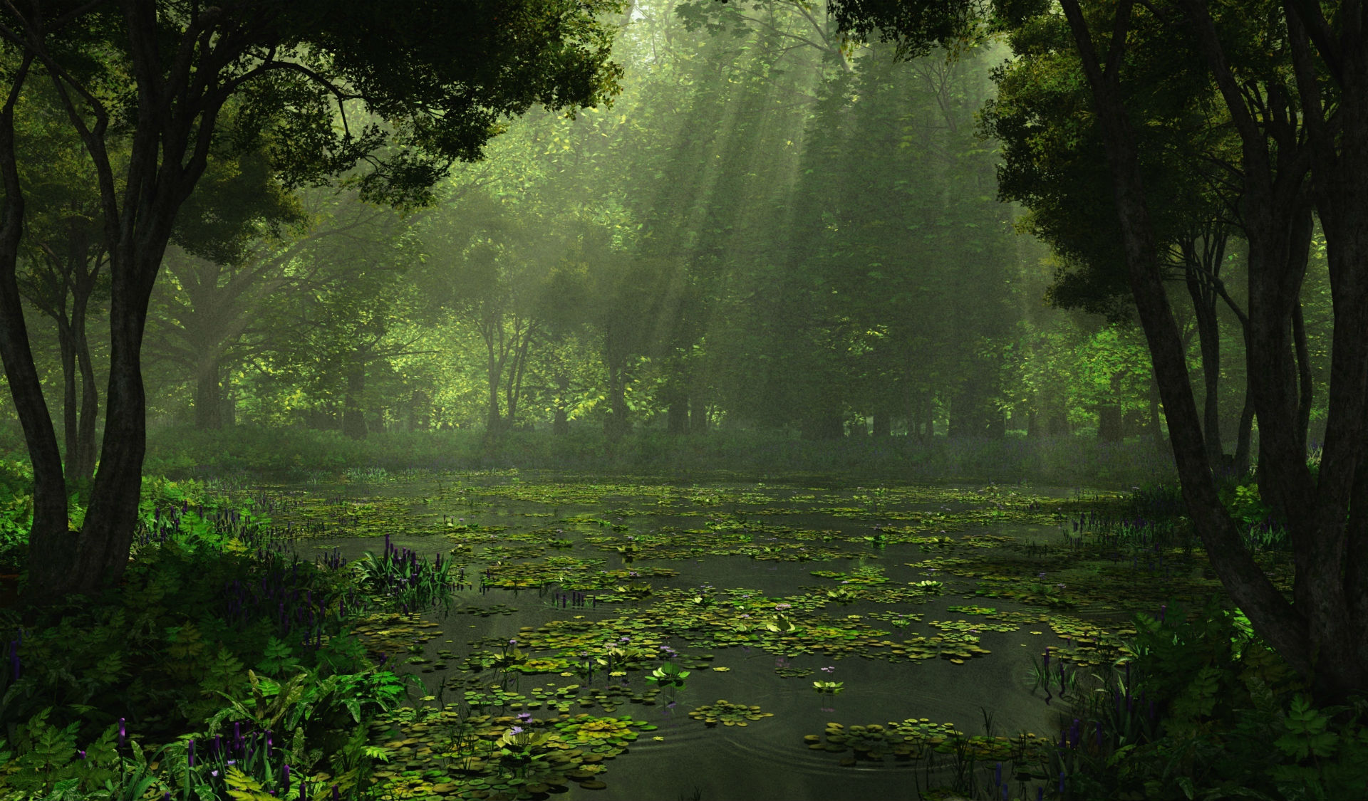 Lakes Swamp Landscapes Sunlight Filtered Beam Rays Forest Wallpaper
