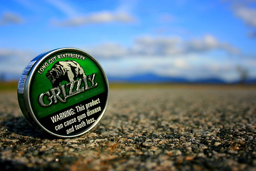 Grizzly Wintergreen Wallpaper Chew August