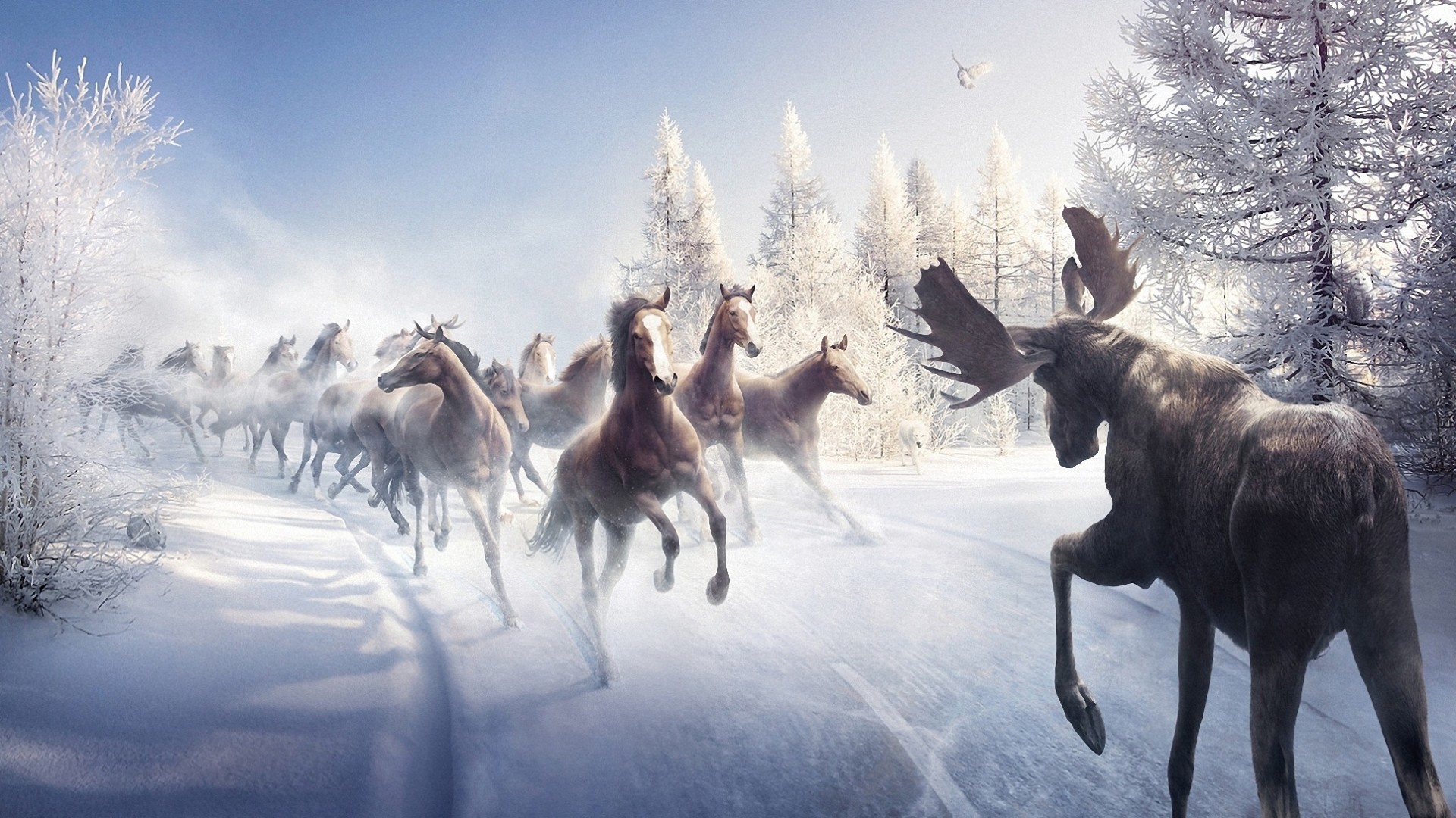 Gorgerous Elk Wallpaper