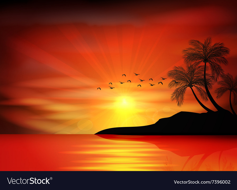 Sunset background with bird and palm tree Vector Image