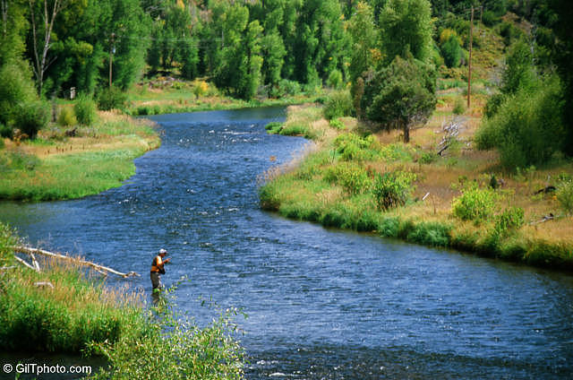 Fly Fishing Articles Insects By Mon Name Trout Streams Rivers
