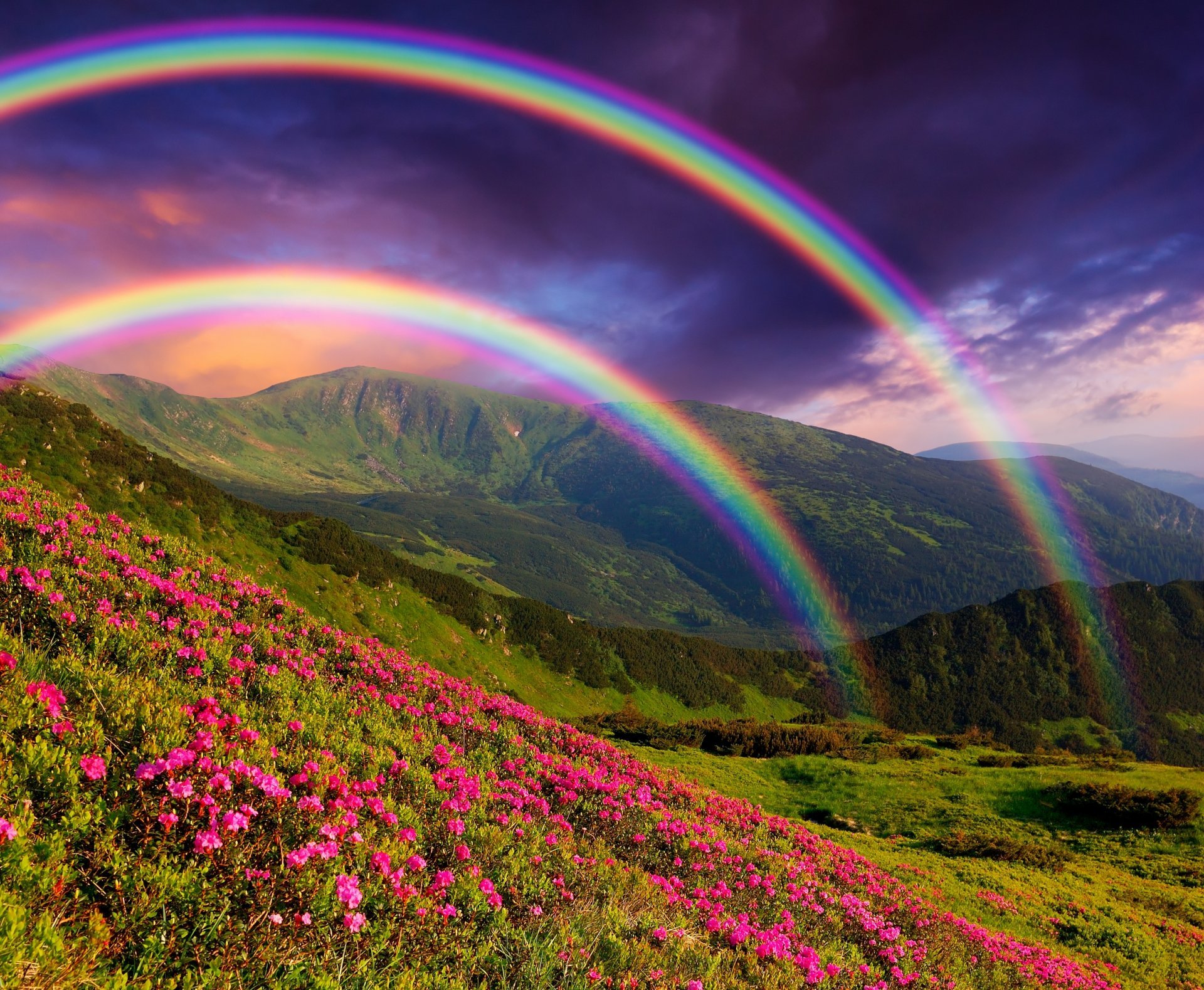 Nature Landscape Mountain Flower Rainbow Mountains Flowers