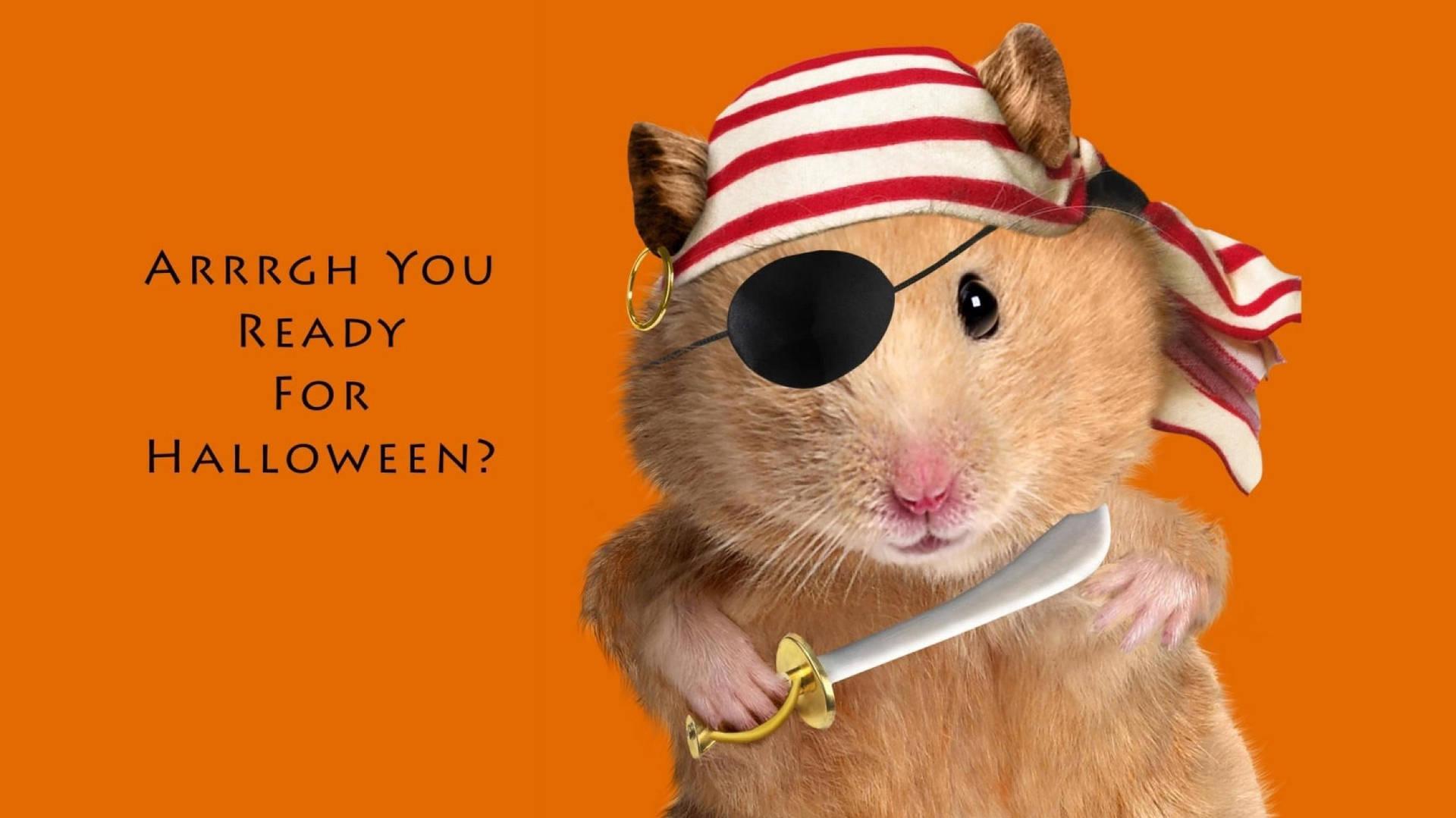 Download Halloween Hamster Meme Wallpaper