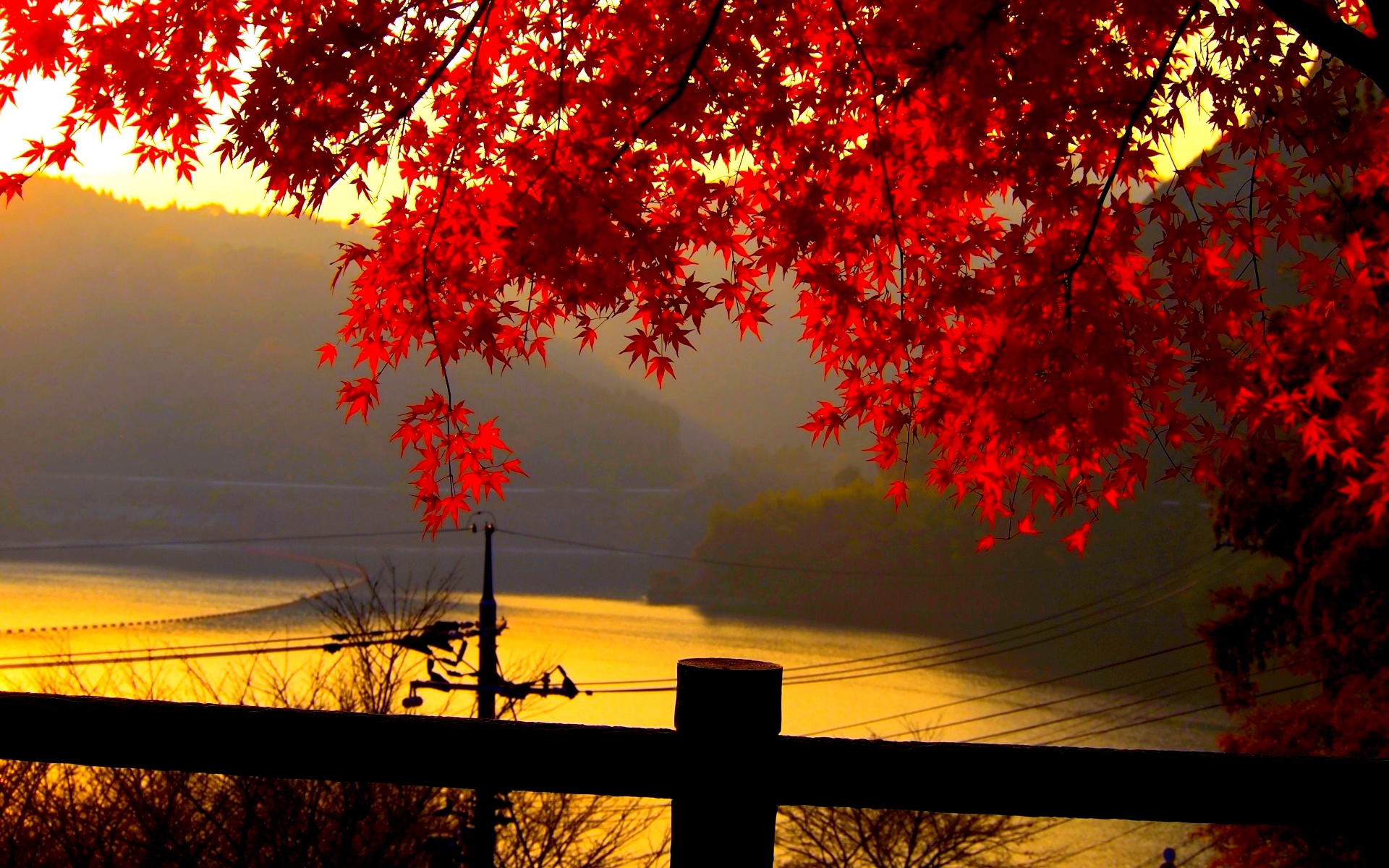 HD Fall Wallpaper