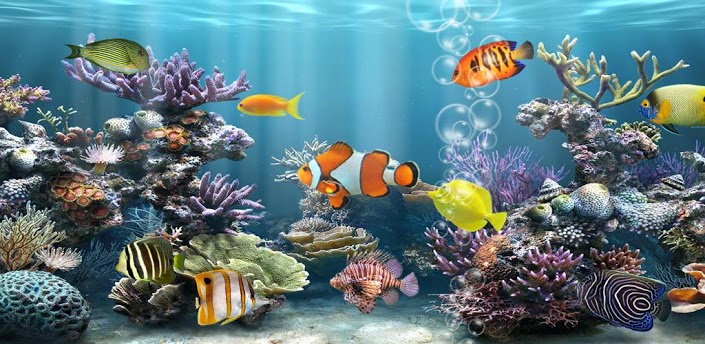 DroidPK Fish Aquarium Free 12 Apk for Android
