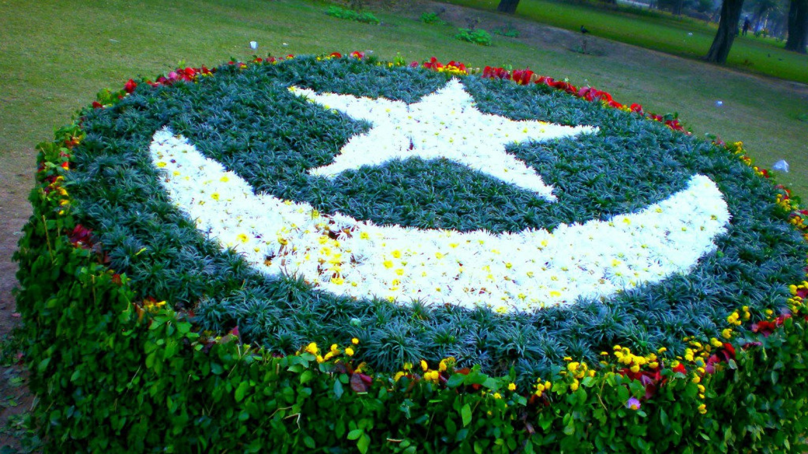  Pakistani Flag Art with Grass and Flowers 1600x900 HD Wallpapers 1600x900