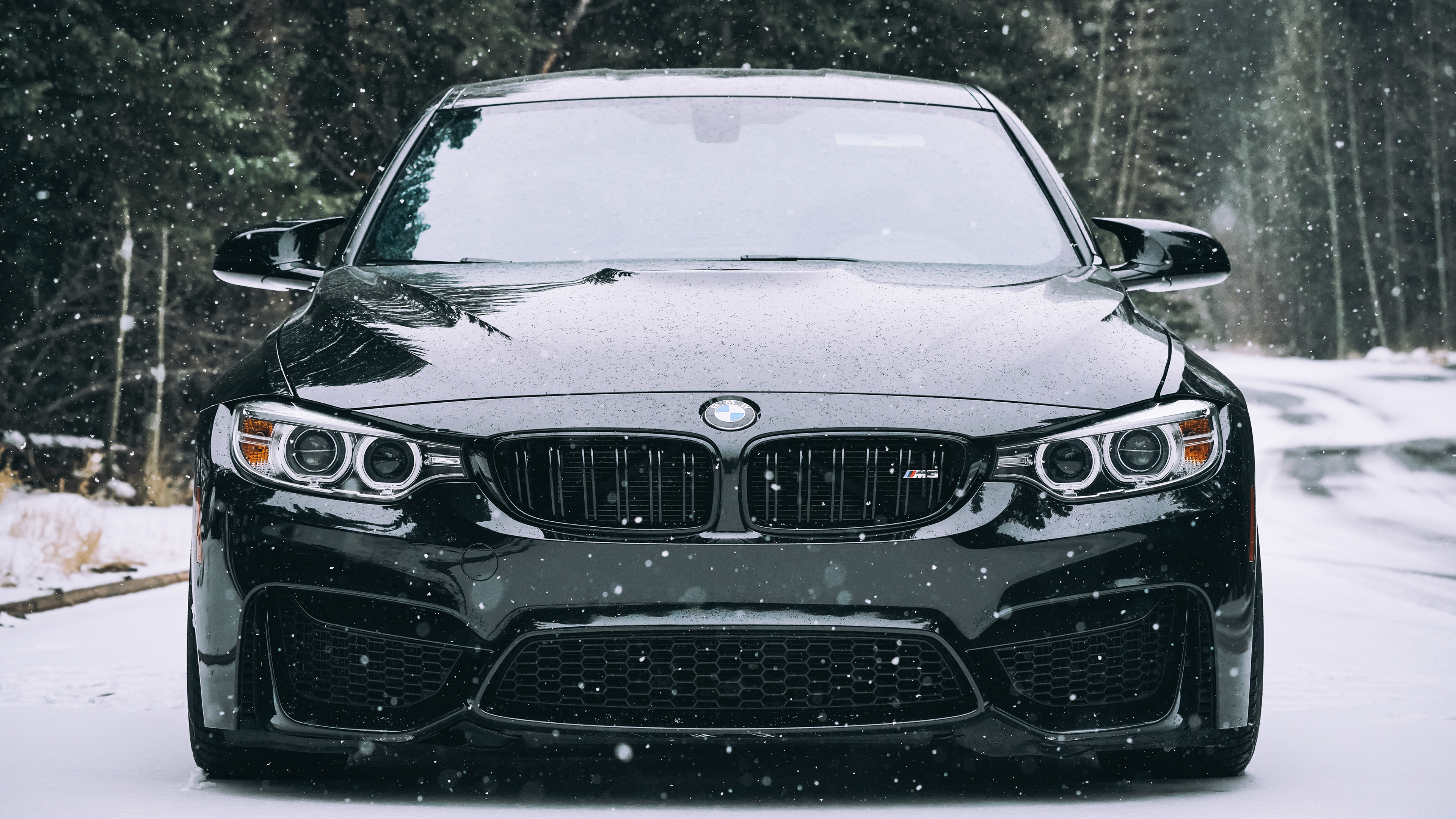 Wallpaper Cars Photo Picture Bmw F80 Winter Snow Front