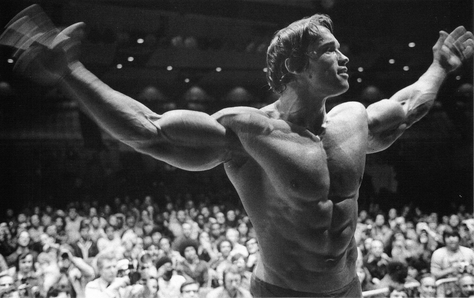 Arnold Wallpaper HD