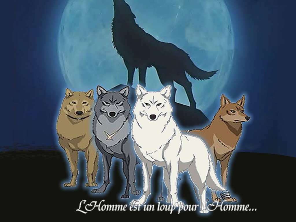 Wallpaper Of Wolf S Rain Anime