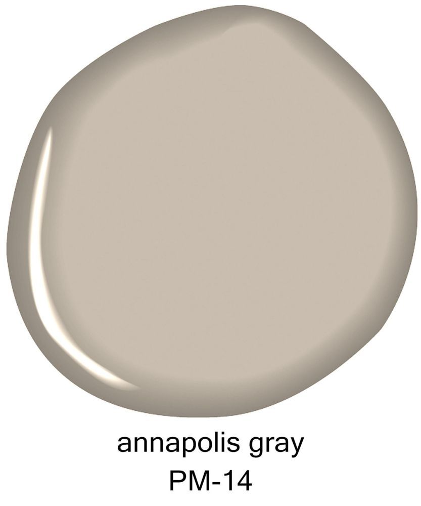 Benjamin Moore Annapolis Gray Pint Sample By