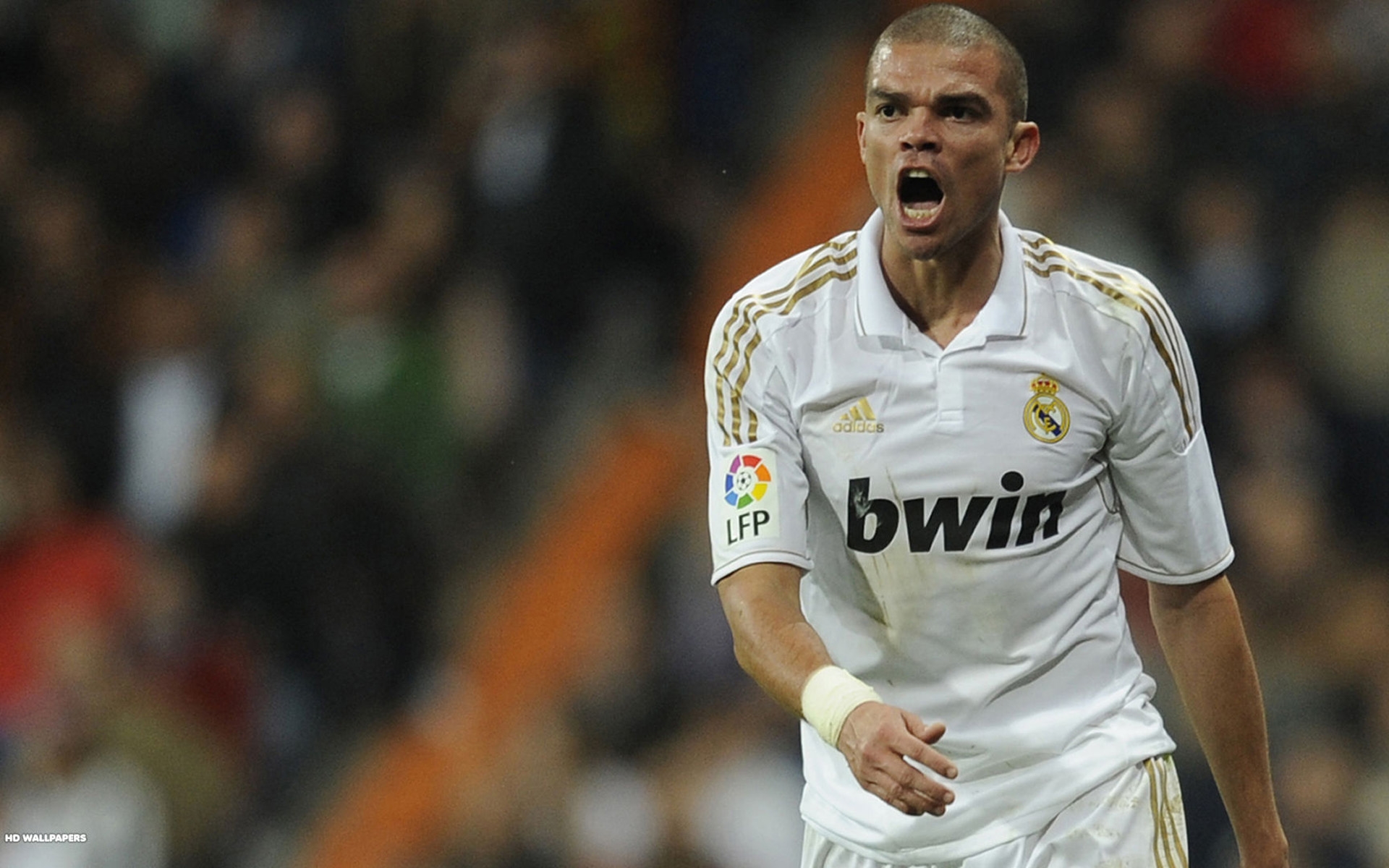 Pepe Real Madrid Desktop Background For HD Wallpaper
