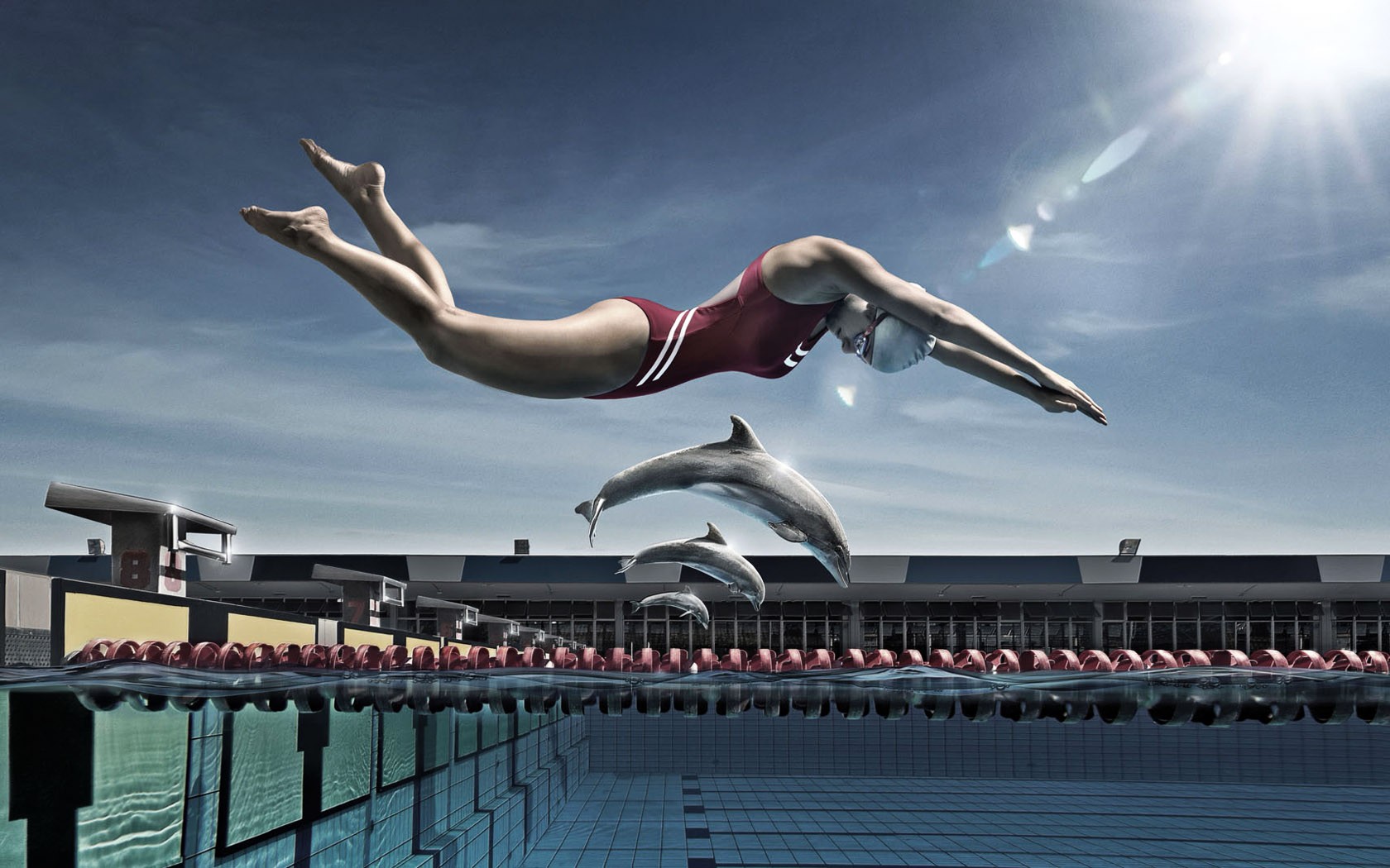 Athletes Swim Dolphins Swimming Pool Weird Photos HD Wallpaper