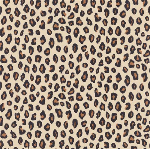 Free Download Bedroom Decoration With Cheetah Print Smart Home Decorating Ideas 500x499 For Your Desktop Mobile Tablet Explore 46 Cheetah Print Wallpaper For Walls Cheetah Wallpaper Leopard Print Background
